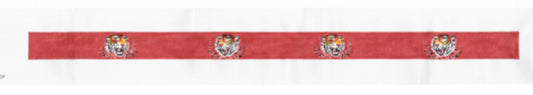 RE19 39x2.25 18M